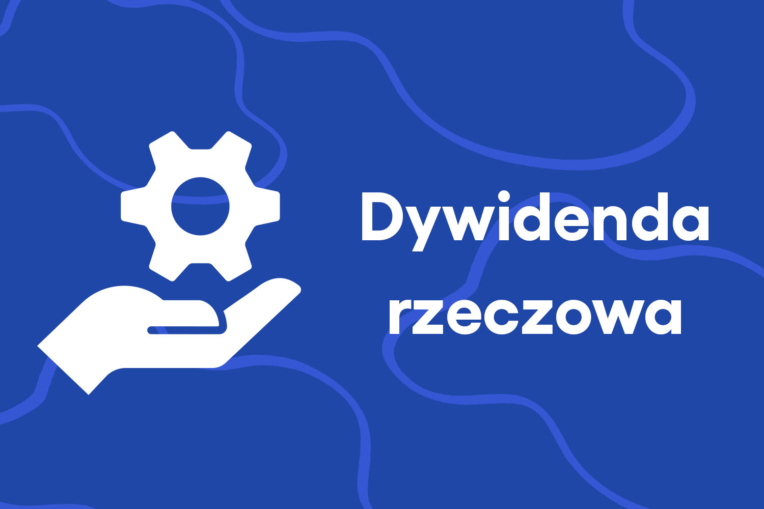 dywidenda rzeczowa