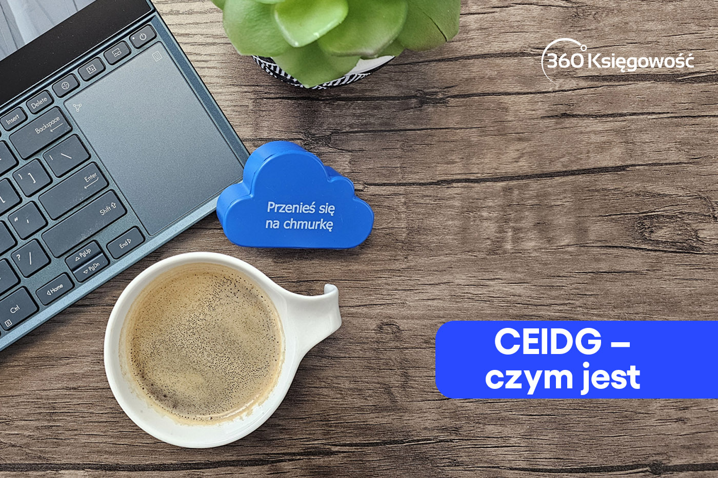 CEIDG – czym jest i do czego służy?